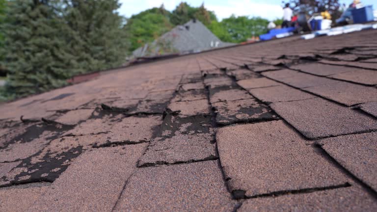 Best Roof Ventilation Installation  in Vernon, TX